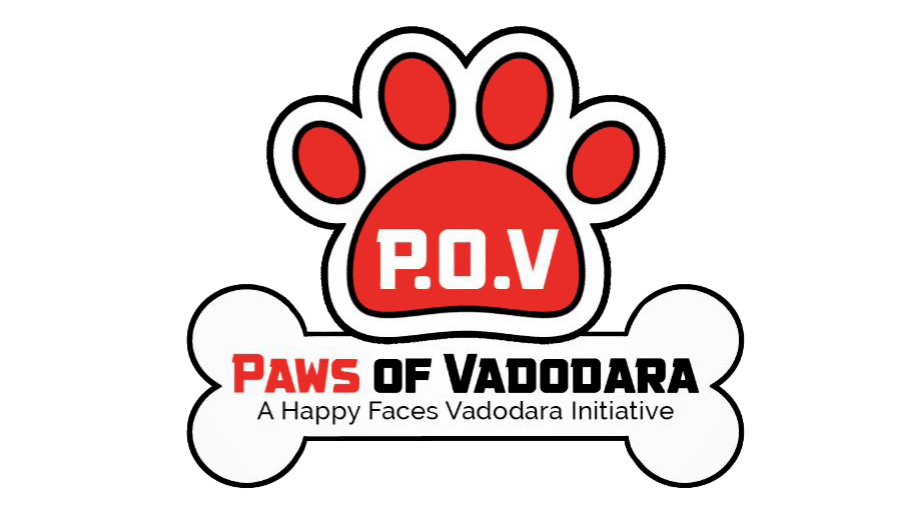 Paws feeding in Vadodara social service